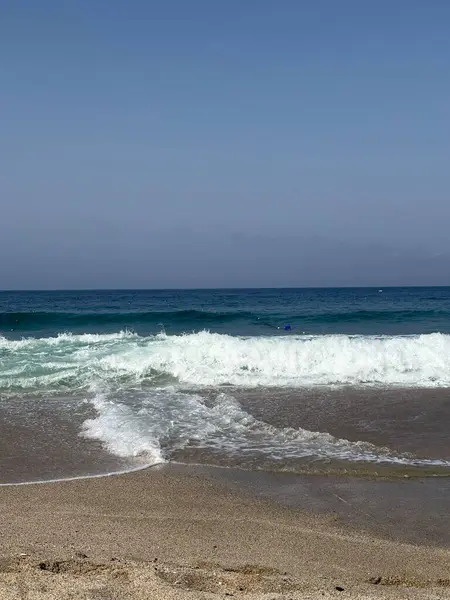 Plaj insanları selamlıyor. Yüksek kalite fotoğraf