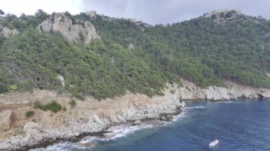 Kıyı kayalık manzarası. Cliffside orman kıyı şeridi Kayalık