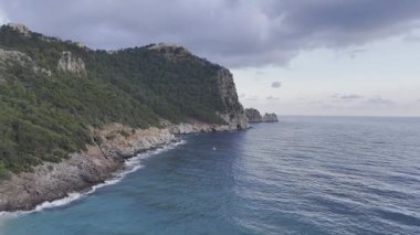 Kıyı kayalık manzarası. Cliffside orman kıyı şeridi Kayalık