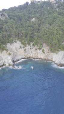 Kıyı kayalık manzarası. Cliffside orman kıyı şeridi Kayalık