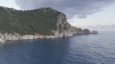 Kıyı kayalık manzarası. Cliffside orman kıyı şeridi Kayalık