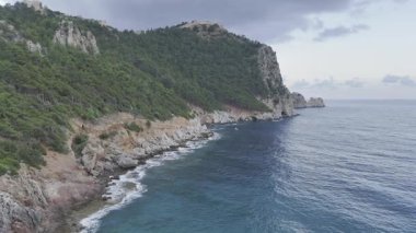 Kıyı kayalık manzarası. Cliffside orman kıyı şeridi Kayalık