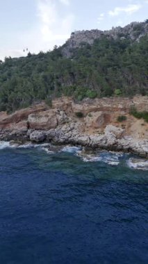 Kıyı kayalık manzarası. Cliffside orman kıyı şeridi Kayalık