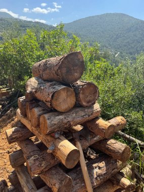 Yığılmış kütükler. Bahçede odun kesiyorum. Dağ manzarası, kırsal manzara, köy tarzı.