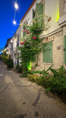 Taş binalar yeşillik. Yüksek kalite fotoğraf