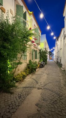 Taş binalar yeşillik. Yüksek kalite fotoğraf