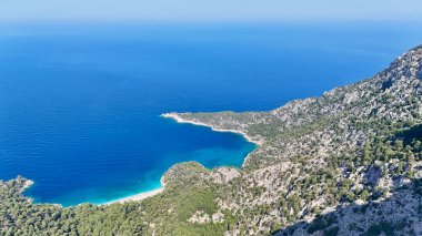 Dağ okyanusu manzarası. Okyanus çam manzarası. Cliffside orman kıyı şeridi kayalık.