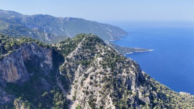 Dağ okyanusu manzarası. Okyanus çam manzarası. Cliffside orman kıyı şeridi kayalık.