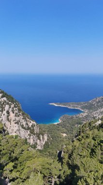 Dağ okyanusu manzarası. Okyanus çam manzarası. Cliffside orman kıyı şeridi kayalık.