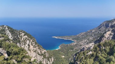 Dağ okyanusu manzarası. Okyanus çam manzarası. Cliffside orman kıyı şeridi kayalık.