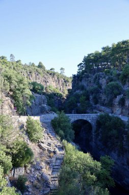 Kanyonun yemyeşil yeşilliği İHA 'dan görüldüğü gibi. Yüksek kalite fotoğraf