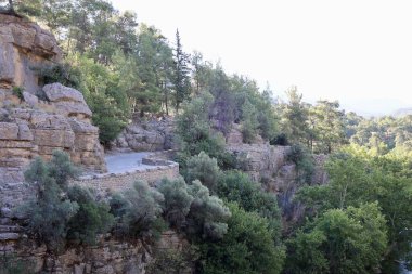 Taş yolu korkuluğu. Çarpık çam ağacı. Yüksek kalite fotoğraf