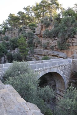 Kanyonun yemyeşil yeşilliği İHA 'dan görüldüğü gibi. Yüksek kalite fotoğraf