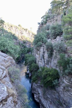 Kanyonun yemyeşil yeşilliği İHA 'dan görüldüğü gibi. Yüksek kalite fotoğraf