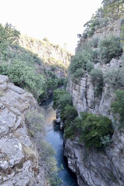 Kanyonun yemyeşil yeşilliği İHA 'dan görüldüğü gibi. Yüksek kalite fotoğraf