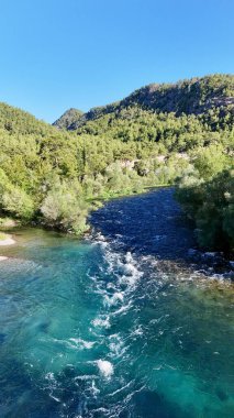 Nehir ağaçları gökyüzü. Kanyonun yemyeşil yeşilliği, görüldüğü gibi. Yüksek kalite fotoğraf