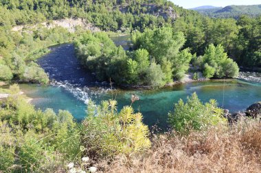 Nehir ağaçlarını temizle. Nehir ağaçları gökyüzü. Kanyonun yemyeşil yeşilliği, görüldüğü gibi. Yüksek kalite fotoğraf