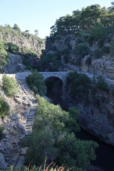 Kanyonun yemyeşil yeşilliği İHA 'dan görüldüğü gibi. Yüksek kalite fotoğraf
