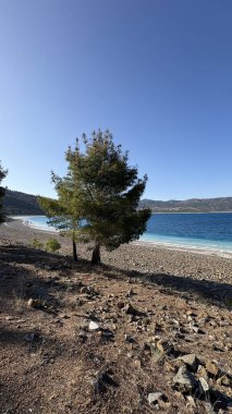 Mavi göl manzarası. Nehir, ağaçlar, gökyüzü. Türkiye 'de göl drone görüntüsü. Yüksek kalite fotoğraf