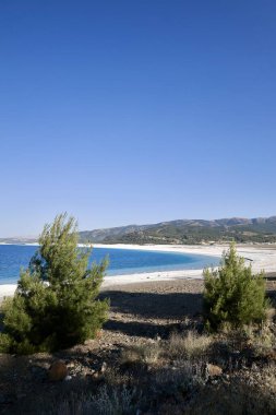 Mavi göl manzarası. Nehir, ağaçlar, gökyüzü. Türkiye 'de Göl Yüksek Kaliteli Fotoğraf
