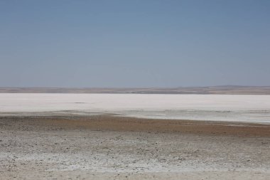 Tuz gölü manzarası. Turist eğlencesi. Çöl, Tuz düzlüğü. 