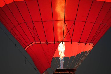 Balon alevi yaklaş. Yüksek kalite fotoğraf