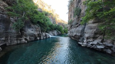 Kanyonun yemyeşil yeşilliği İHA 'dan görüldüğü gibi. Yüksek kalite fotoğraf
