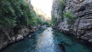 Kanyonun yemyeşil yeşilliği İHA 'dan görüldüğü gibi. Yüksek kalite fotoğraf