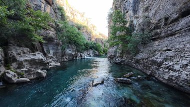 Kanyonun yemyeşil yeşilliği İHA 'dan görüldüğü gibi. Yüksek kalite fotoğraf