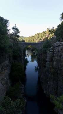 Kanyonun yemyeşil yeşilliği İHA 'dan görüldüğü gibi. Yüksek kalite fotoğraf