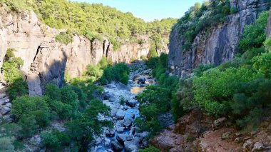Kanyonun yemyeşil yeşilliği İHA 'dan görüldüğü gibi. Yüksek kalite fotoğraf