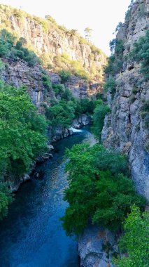 Kanyonun yemyeşil yeşilliği İHA 'dan görüldüğü gibi. Yüksek kalite fotoğraf