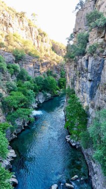Kanyonun yemyeşil yeşilliği İHA 'dan görüldüğü gibi. Yüksek kalite fotoğraf