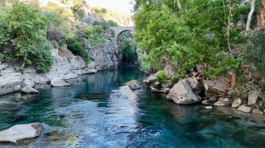Kanyonun yemyeşil yeşilliği İHA 'dan görüldüğü gibi. Yüksek kalite fotoğraf