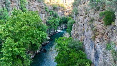 Kanyonun yemyeşil yeşilliği İHA 'dan görüldüğü gibi. Yüksek kalite fotoğraf