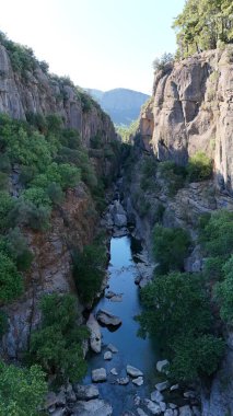 Kanyonun yemyeşil yeşilliği İHA 'dan görüldüğü gibi. Yüksek kalite fotoğraf