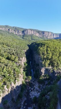 Kanyonun yemyeşil yeşilliği İHA 'dan görüldüğü gibi. Yüksek kalite fotoğraf