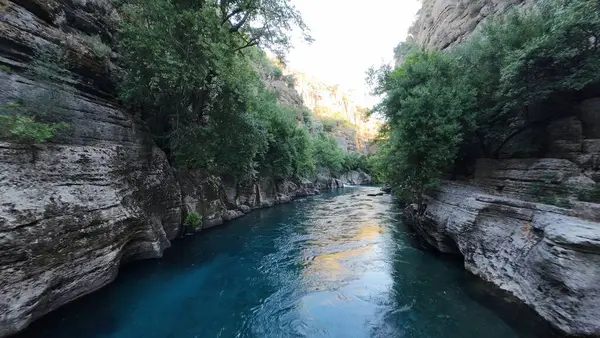 Kanyonun yemyeşil yeşilliği İHA 'dan görüldüğü gibi. Yüksek kalite fotoğraf