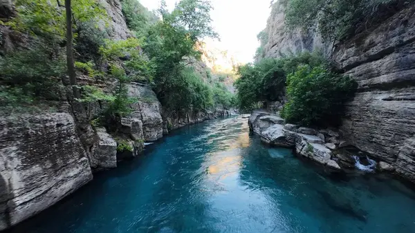 Kanyonun yemyeşil yeşilliği İHA 'dan görüldüğü gibi. Yüksek kalite fotoğraf