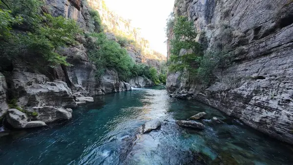Kanyonun yemyeşil yeşilliği İHA 'dan görüldüğü gibi. Yüksek kalite fotoğraf