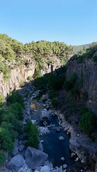 Kanyonun yemyeşil yeşilliği İHA 'dan görüldüğü gibi. Yüksek kalite fotoğraf
