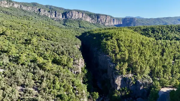 Kanyonun yemyeşil yeşilliği İHA 'dan görüldüğü gibi. Yüksek kalite fotoğraf
