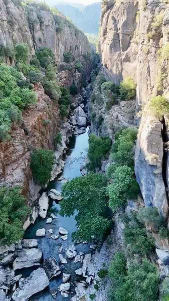 Kanyonun yemyeşil yeşilliği İHA 'dan görüldüğü gibi. Yüksek kalite fotoğraf