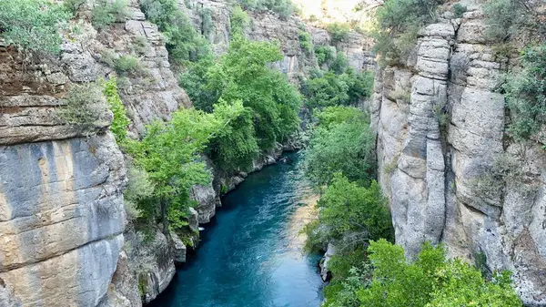 Kanyonun yemyeşil yeşilliği İHA 'dan görüldüğü gibi. Yüksek kalite fotoğraf