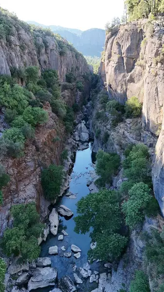 Kanyonun yemyeşil yeşilliği İHA 'dan görüldüğü gibi. Yüksek kalite fotoğraf
