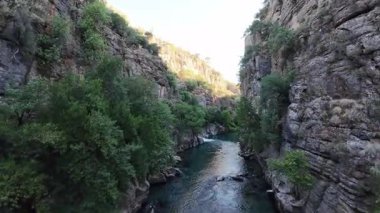 Kanyonun yemyeşil yeşilliği İHA 'dan görüldüğü gibi. Yüksek kalite fotoğraf