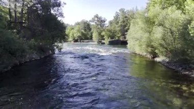 Nehir ağaçları gökyüzü. Kanyonun yemyeşil yeşilliği, görüldüğü gibi. Yüksek kalite fotoğraf