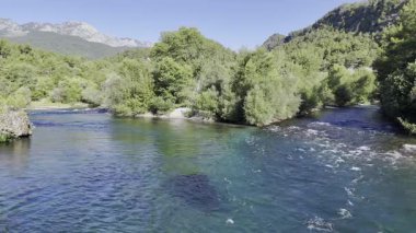 Nehir ağaçları gökyüzü. Kanyonun yemyeşil yeşilliği, görüldüğü gibi. Yüksek kalite fotoğraf