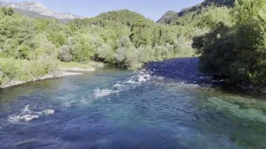 Nehir ağaçları gökyüzü. Kanyonun yemyeşil yeşilliği, görüldüğü gibi. Yüksek kalite fotoğraf