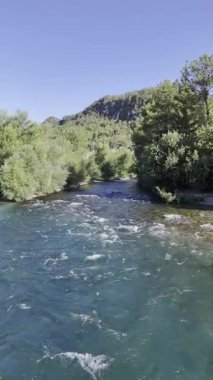 Nehir ağaçları gökyüzü. Kanyonun yemyeşil yeşilliği, görüldüğü gibi. Yüksek kalite fotoğraf
